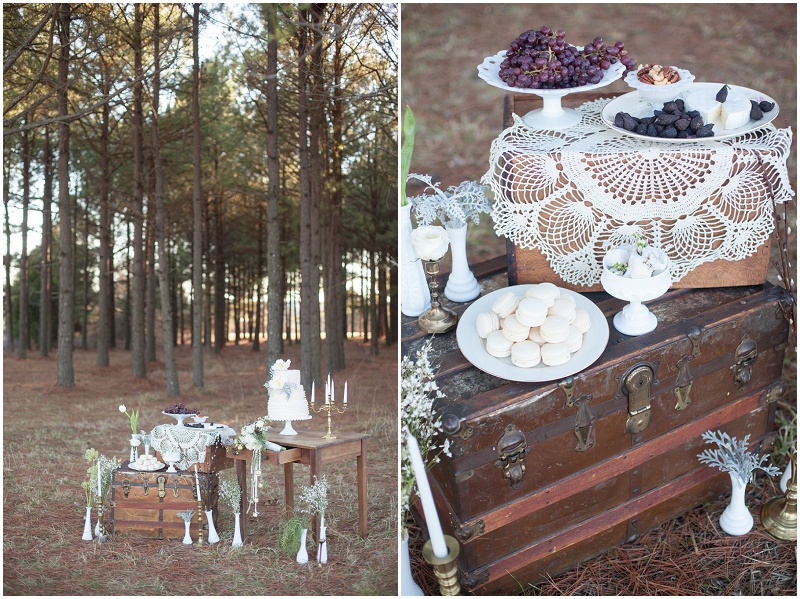 Professional Photographer of the Carolinas, Chic Romantic Vintage Wedding Inspiration