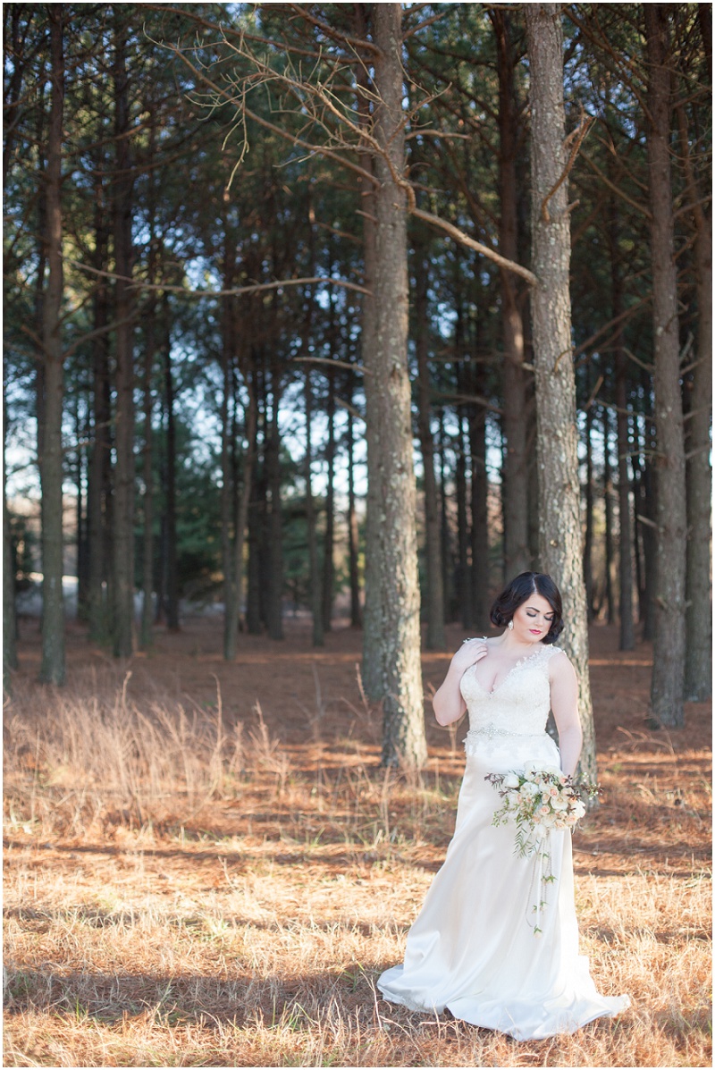 Professional Photographer of the Carolinas, Chic Romantic Vintage Wedding Inspiration