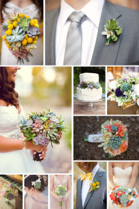 Wedding Inspiration Succulents