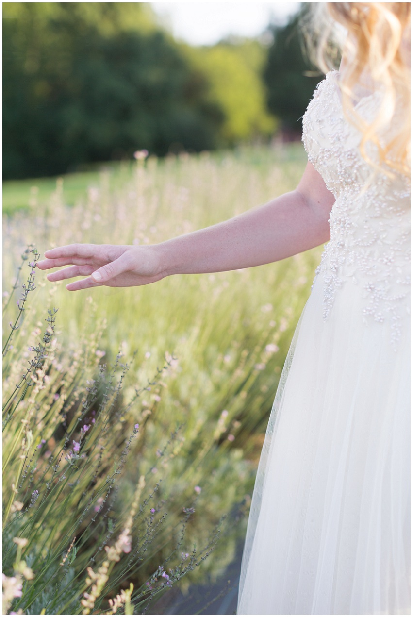 Professional photographer of the Carolinas, Charlotte wedding photographer, lavender garden, lavender garden bridals, lavender field, lavender field bridasl, Charlotte photographer