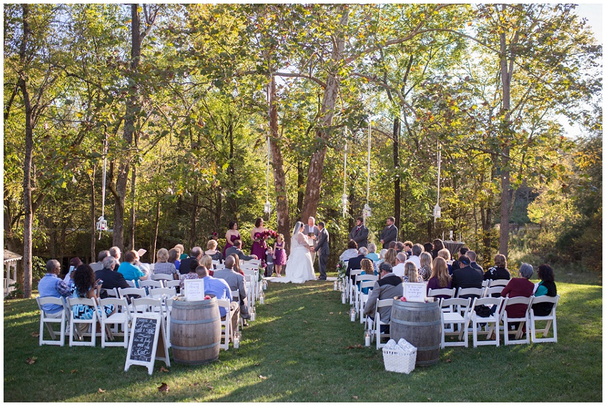 Vesuvius Vineyards, Vesuvius Vineyards wedding, Charlotte wedding photographer, Best Charlotte wedding photographer, Top Charlotte Wedding photographer, North Carolina wedding photographer, purple and silver wedding