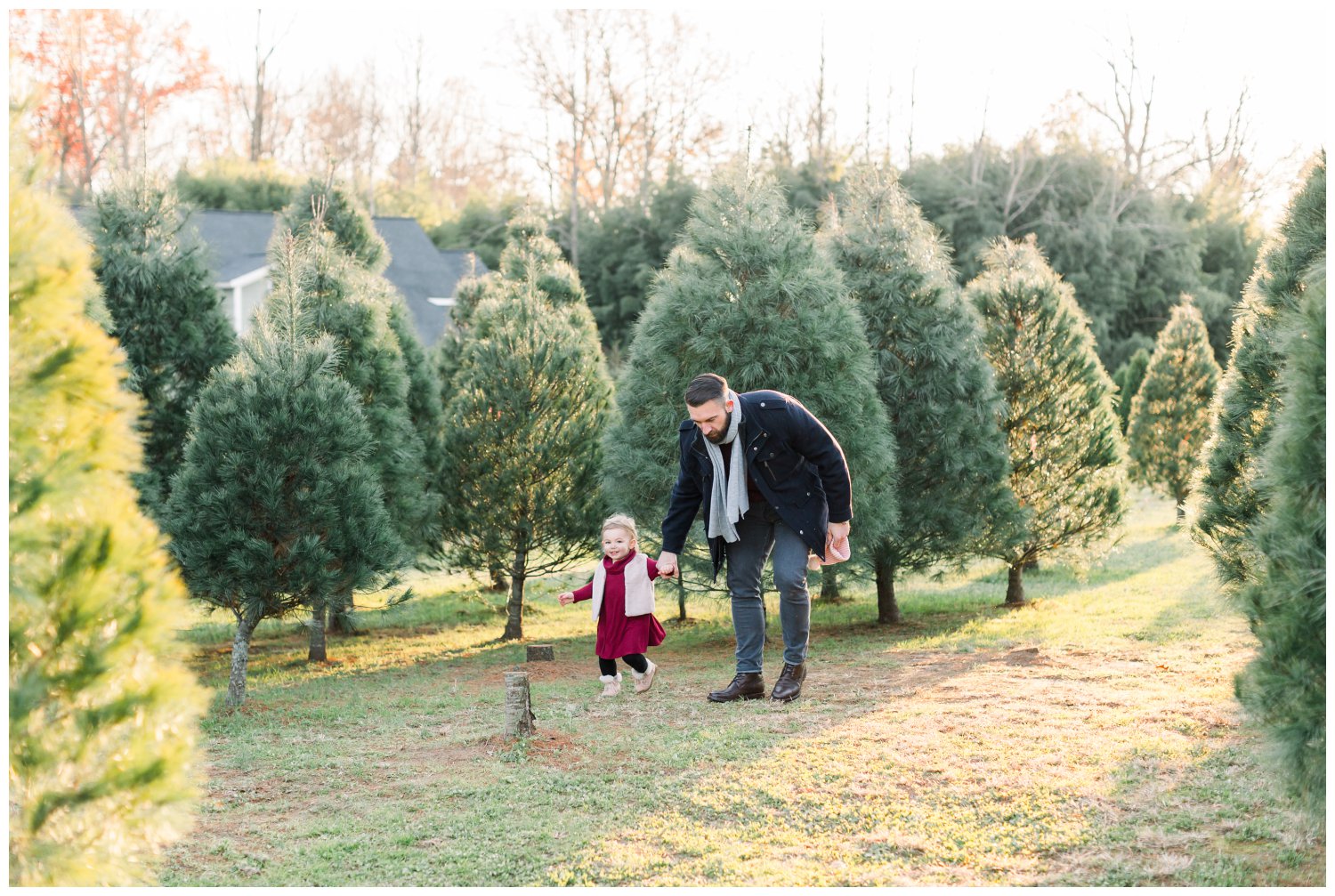 Grace Tree Farm Christmas family session in North Carolina