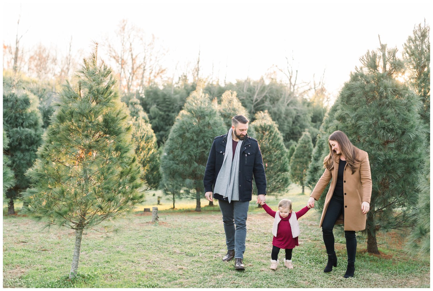 Grace Tree Farm Christmas family session in North Carolina